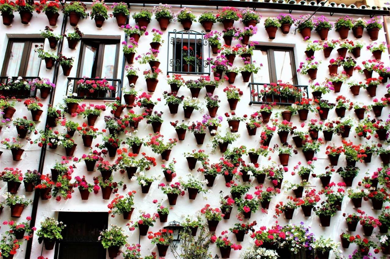 Tendillas Suite Córdoba Eksteriør bilde
